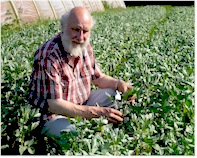 Biologisch, nat�rlich : Gem�se von Herrn H�ing